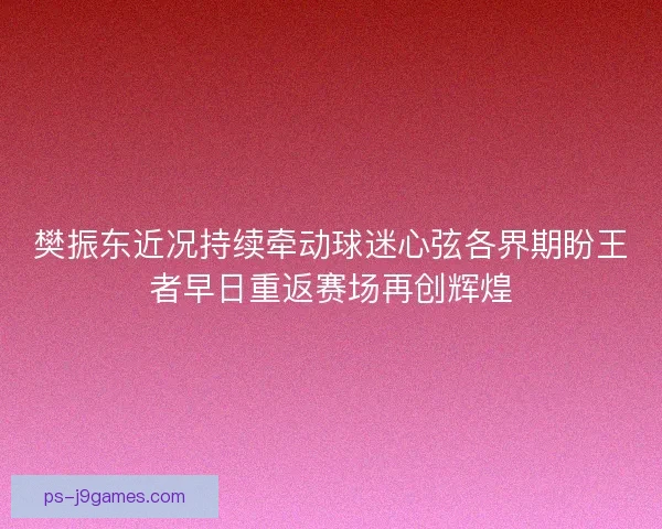 樊振东近况持续牵动球迷心弦各界期盼王者早日重返赛场再创辉煌
